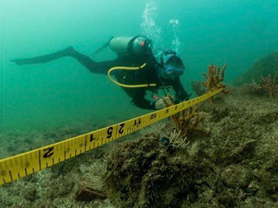 Person taking measurements of coral on an underwater dive in Heredia, Costa Rica.