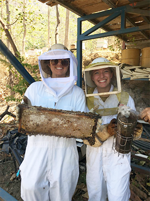 Beehive Interns in Costa Rica